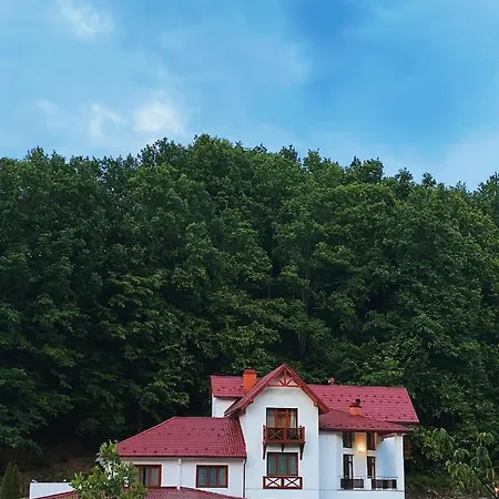 Dominion Relax Club 여관 샤이안